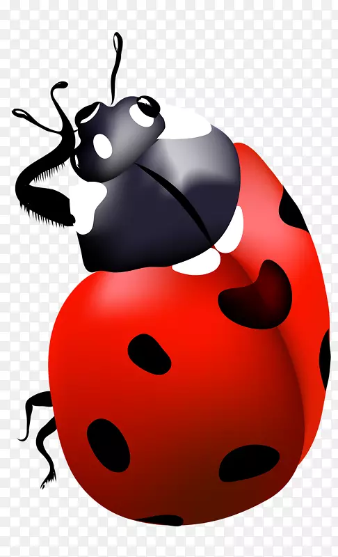 ��ɫ����������ͼ��-������