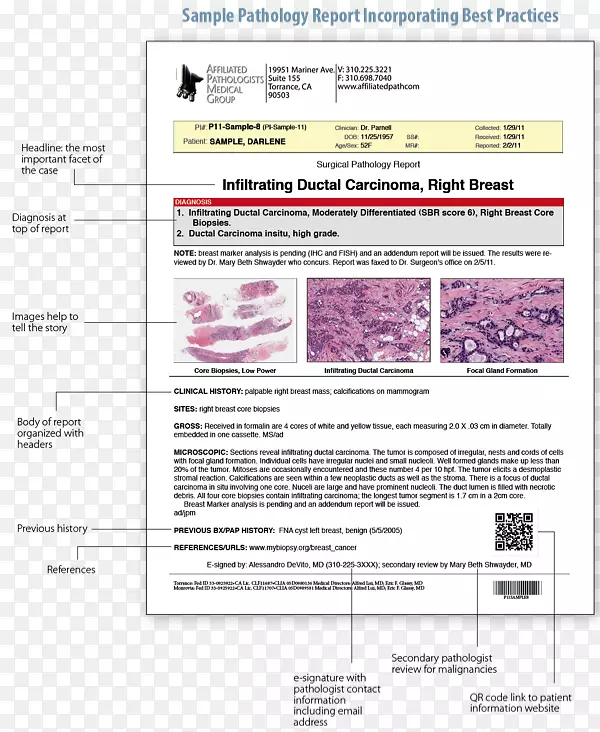 ��Ʋ���������ֲ���ѧ��첡��ʵ����-������