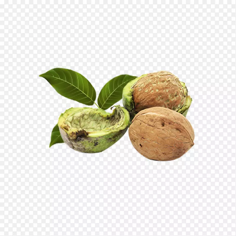 ���ҺͿ��ȵ���.��������-������