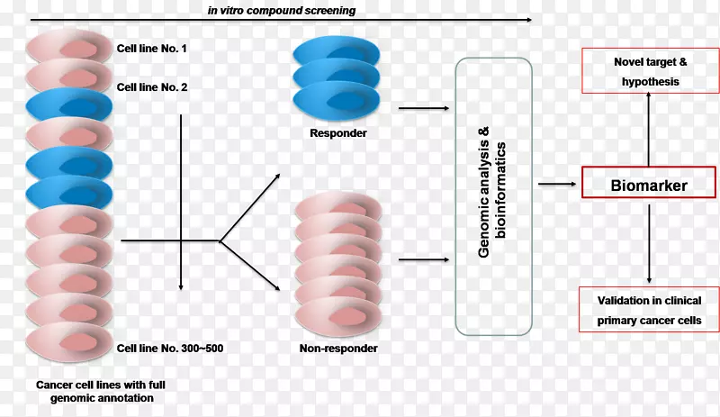 �������﷢��ҩ�￪��ҩ��-ҩ��-������