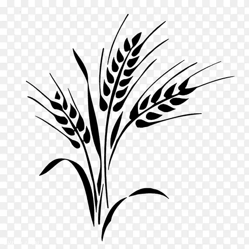 Լ�����϶�������ũҵ����������˹-������ҳ-������