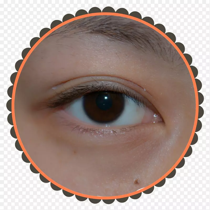 ��˹������ʯ��־���������Ʊ-������