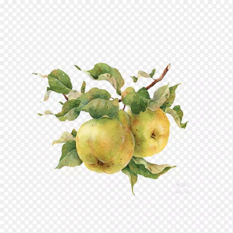 ˮ�ʻ���ͼ.�ֻ�����-������