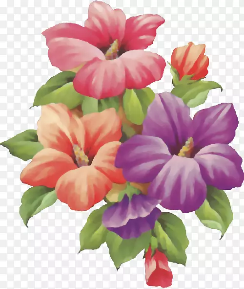 ��������-���ܻ���-������