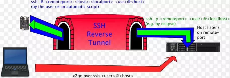 �̱���ƹ��-������