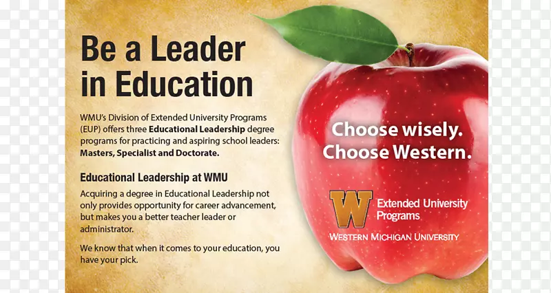 ��������ʳ��Ŀ���ͯ�������-������