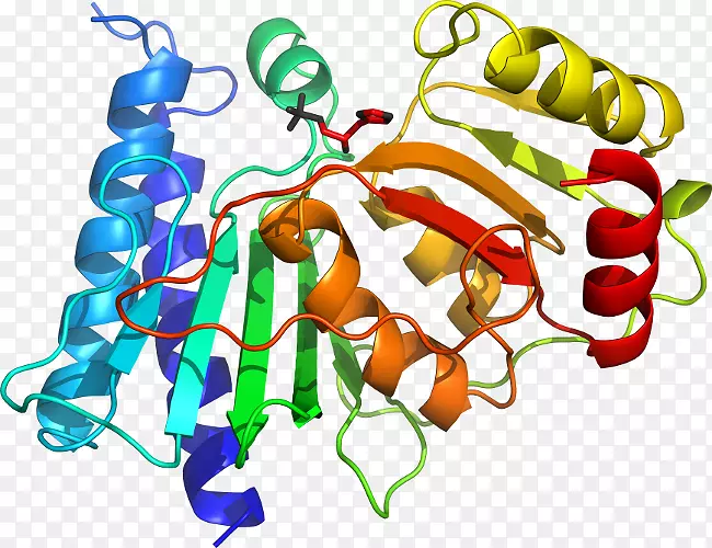 ʳƷ�л���ϵ�м�����-�ϻ���ޣ-������