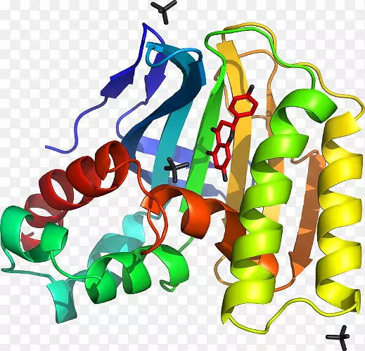 �ߵ����������-�ϻ���ޣ-������