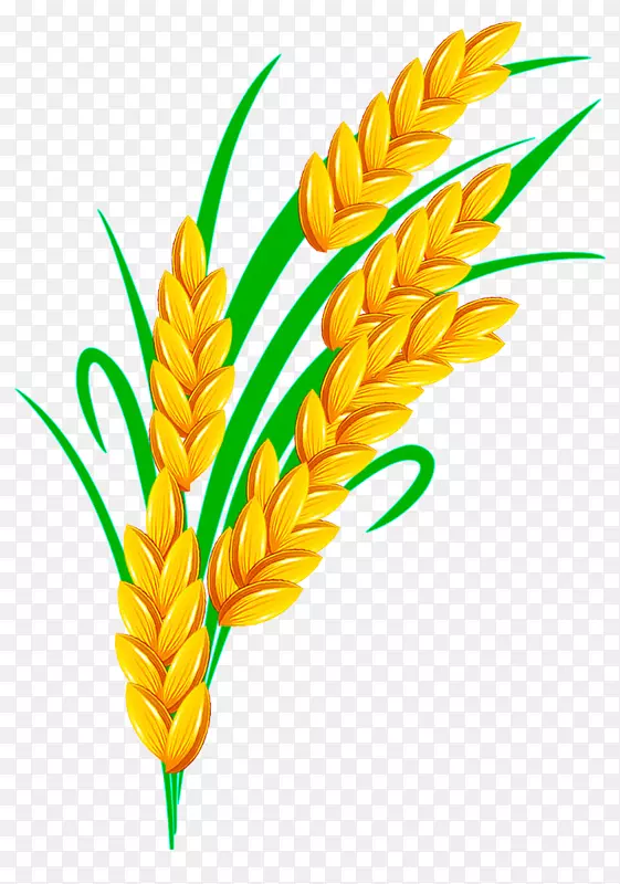 ˮ������-��ɫˮ��-������