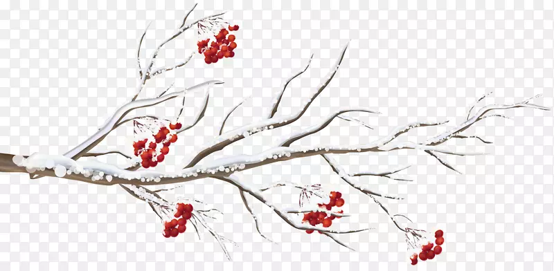 ��֦�������ֽ�������߿��֧-������