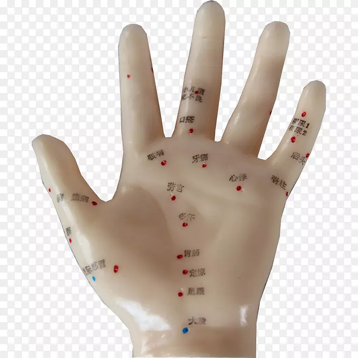 ����������ָĴָ-Ѩλ-������