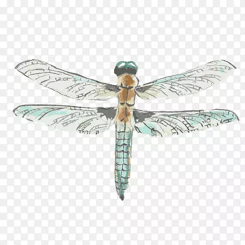 ���ѻ�ˮ�ʻ�-����-������