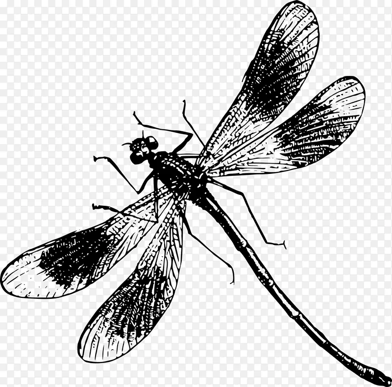 ����ͼ-����-������