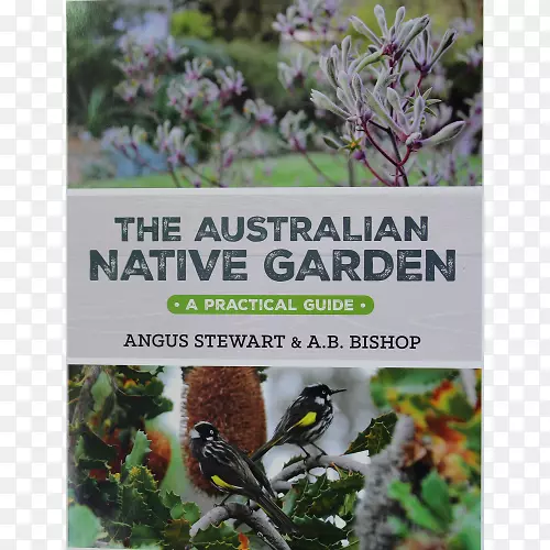 �Ĵ����Ǳ�����԰��һ��ʵ��ָ�ϣ������߲ˡ���ҩ�͹��߲�԰��Ƭ��-������