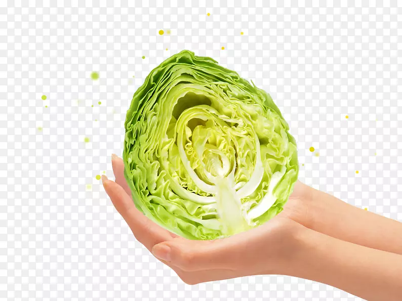 ����ƽ�����-���ž��Ĳ�-������