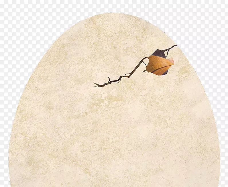 ��������Ȼ�����İ�װ����Ĥ-�ѿ�-������