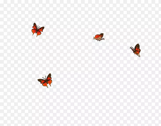 ���������plcŮ�����屣��-������