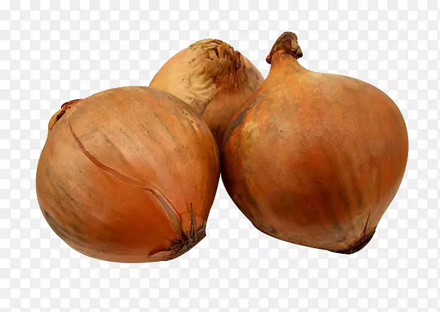 �в˴������-������