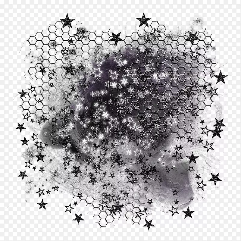 �廭����������̳�-���׽�װ�α���-������