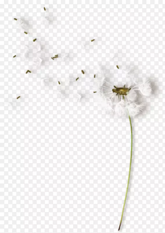 ����ɫ������.װ�ΰ���-������