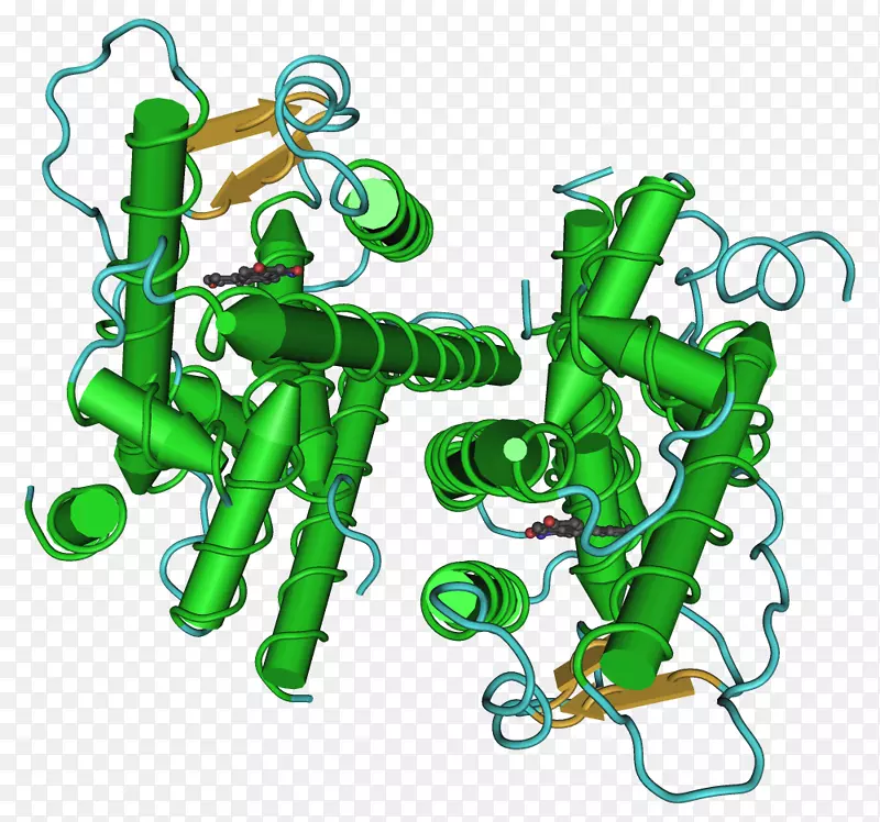 �Ƽ�������´Ƽ��������-ʥ��˿��-������