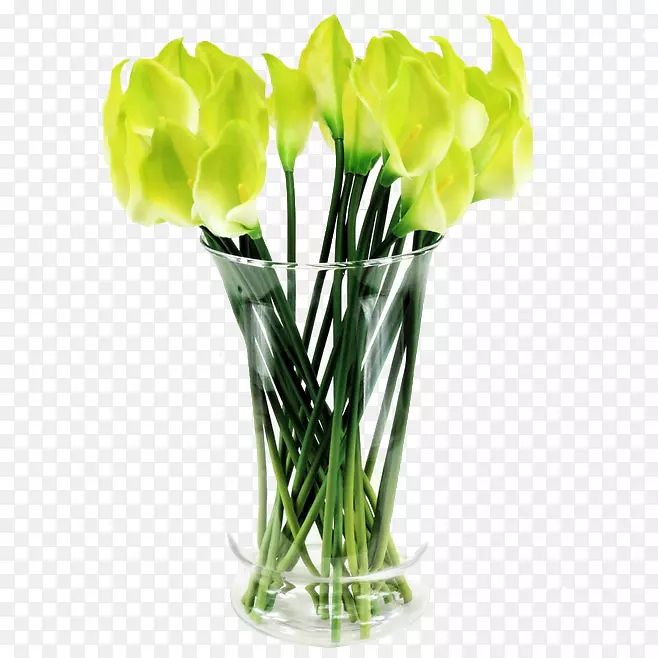 ������ƻ�ƿ������ƿ-������