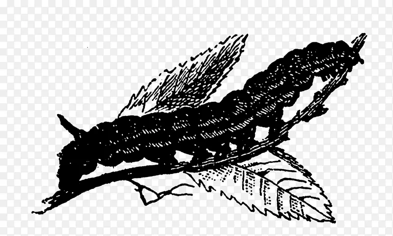 �����������������ɫ�ɰ�����-������