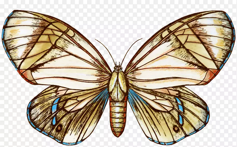 ��������-�ɰ�������-������