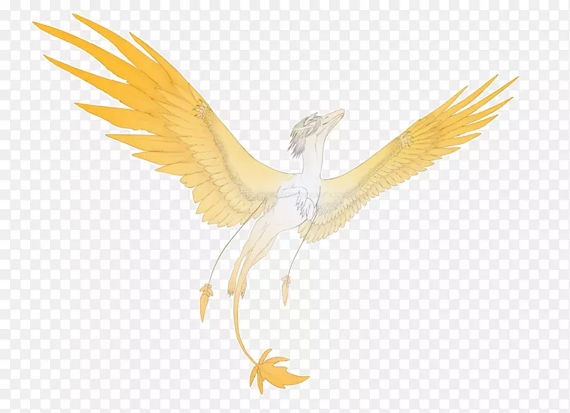 ӥ�����-��ɫ���-������