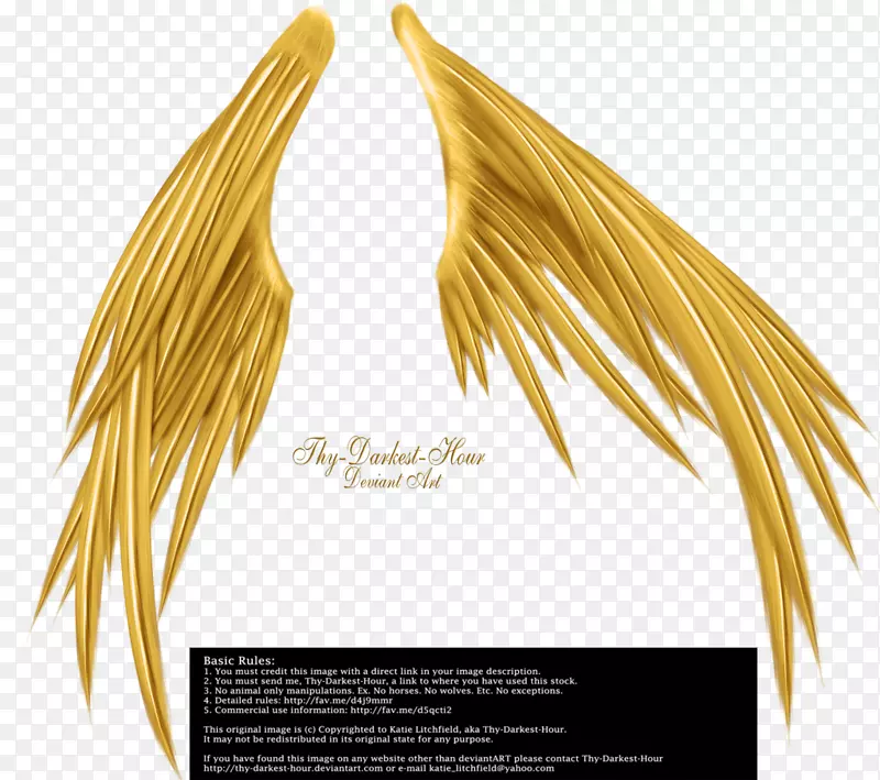 ���ĳ����Ӱ�ڰ�-��ɫ�ĳ��-������