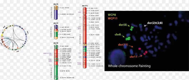 ͼ����Ƽ����������ý�弼����֢����ϸ��-������