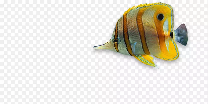 ��Ӧʽ��ҳ�������WordPress����-��е����-������