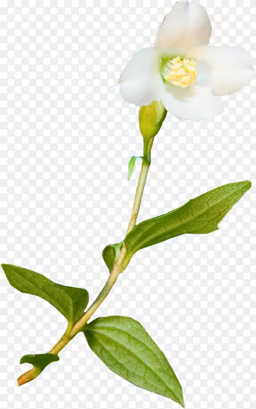 ���ܲ����������������-��-������