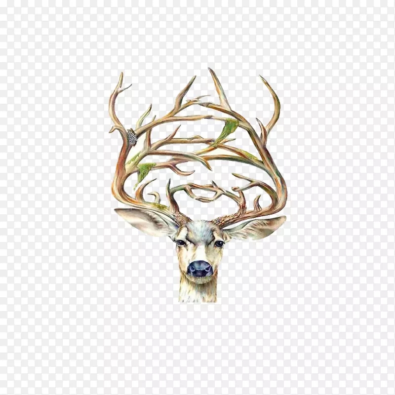 ��������ͷ���鲼ɳ��¹-������