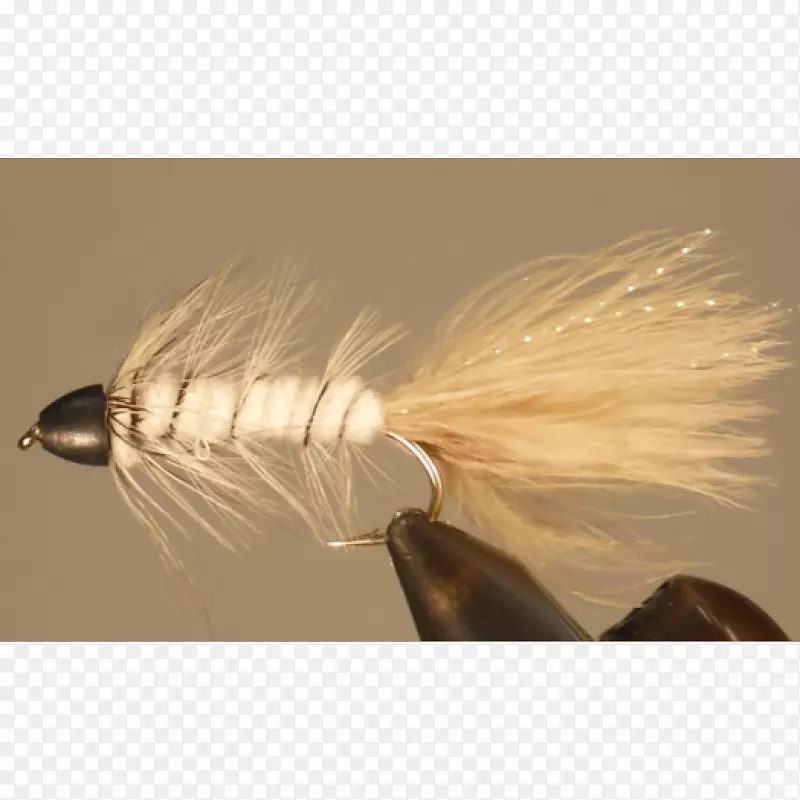 ë����ɫƮ��-������