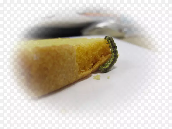 ���������̬�������׳�-������