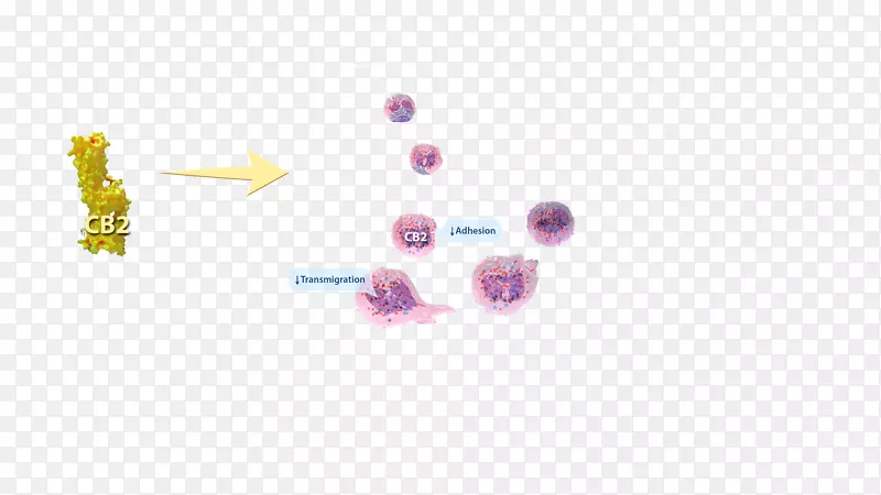 �鱦����.����-������