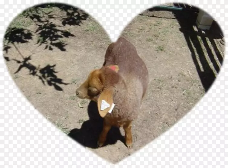 ��������-������д-������