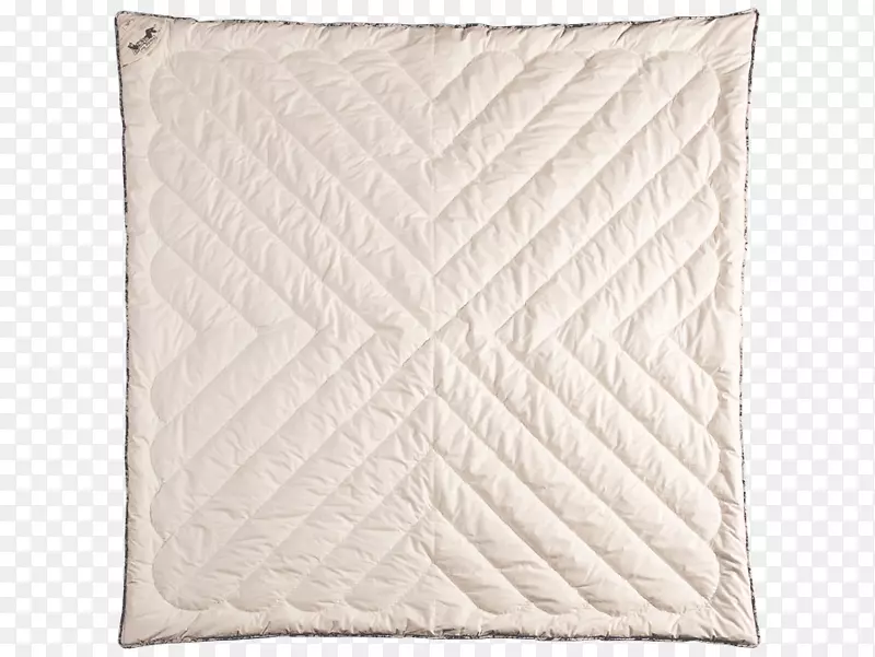 Ͷ����ͷ�����β���������д-������