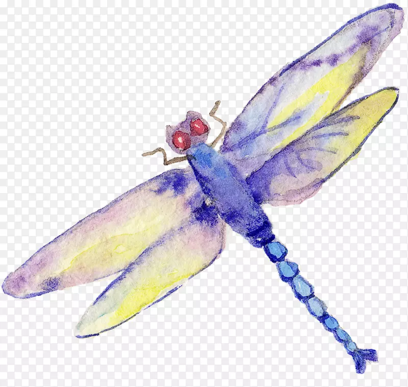 ������������-����-������