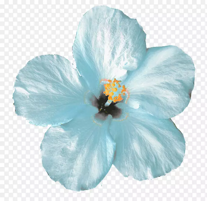 ����ͼ��-���ɻ�-������