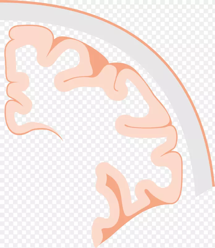 ����ͼ�������-������