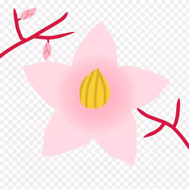 ����Ҷֲ�ﾥ����ֲ�������-������