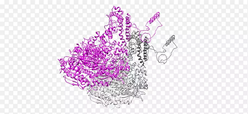 �л����꿪��ֲ��ۺ�m-��ϵ-������