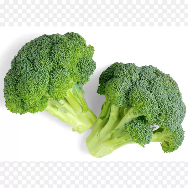 �������߲�ʳƷ����-������