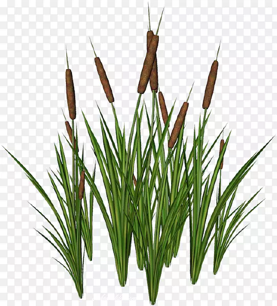 ������·-������