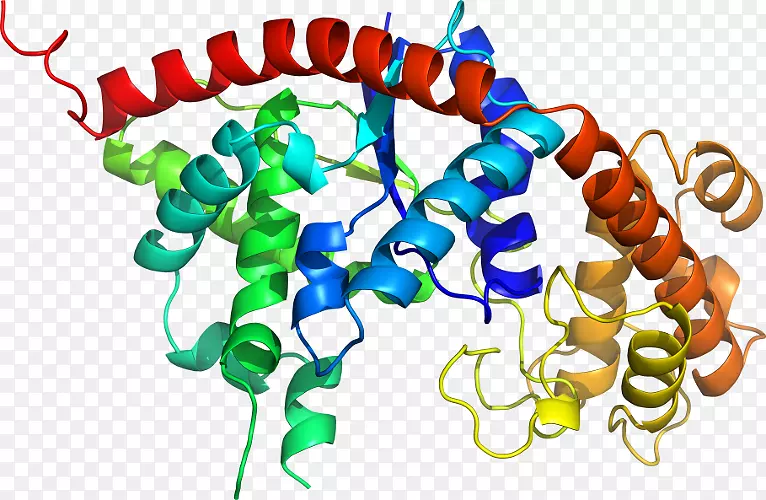 �����鱦�л��������.ë֧ԭ��-������