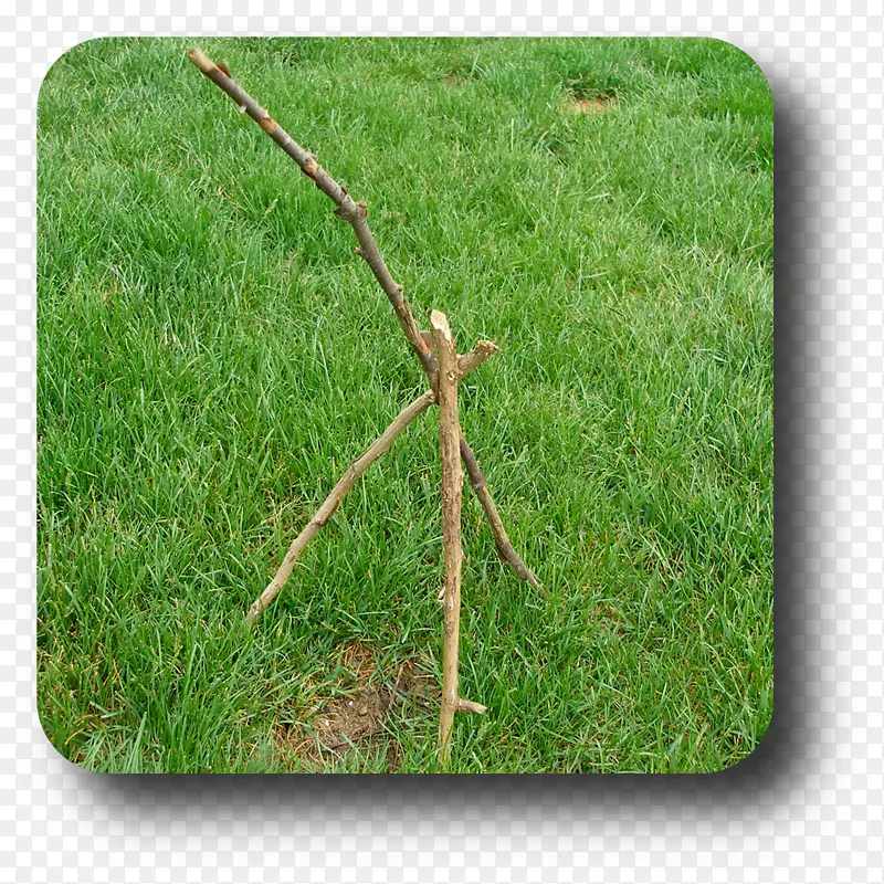 ���ݹ��Ͳ�������-������