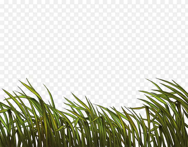 �����-������