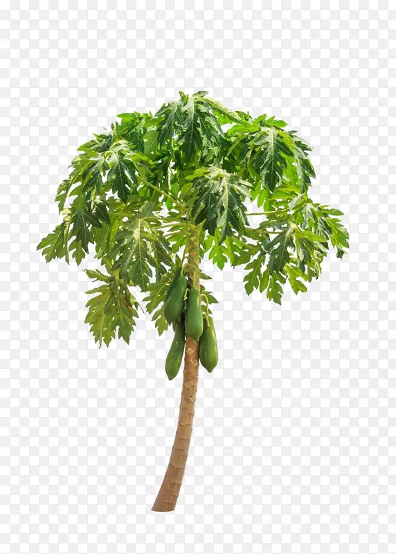 ľ�Ϲ����䵱��Ӱ.ֱľ����-������